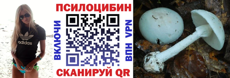 Купить закладки  Валдай  Псилоцибиновые грибы Psilocybine cubensis 